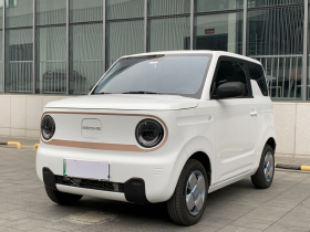吉利银河 2024款 熊猫mini 200km 耐力熊