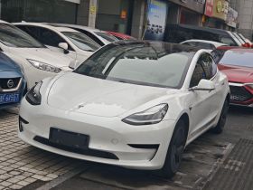 特斯拉 Model 3 2019款 标准续航后驱升级版