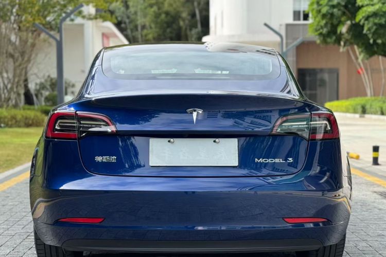 特斯拉 Model 3 2020款 改款 长续航后轮驱动版车身外观6010