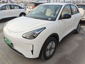 吉利银河 星愿 2026款 310km 青春版