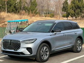 林肯 冒险家 2023款 2.0T 两驱尊享版