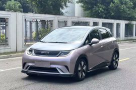 比亚迪 海豚 2021款 401km 骑士版