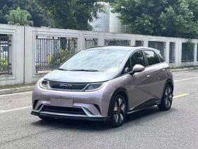 比亚迪 海豚 2021款 401km 骑士版