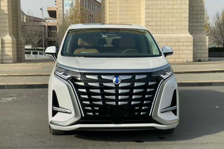 腾势D9 2022款 DM-i 970 四驱旗舰型车身外观6001