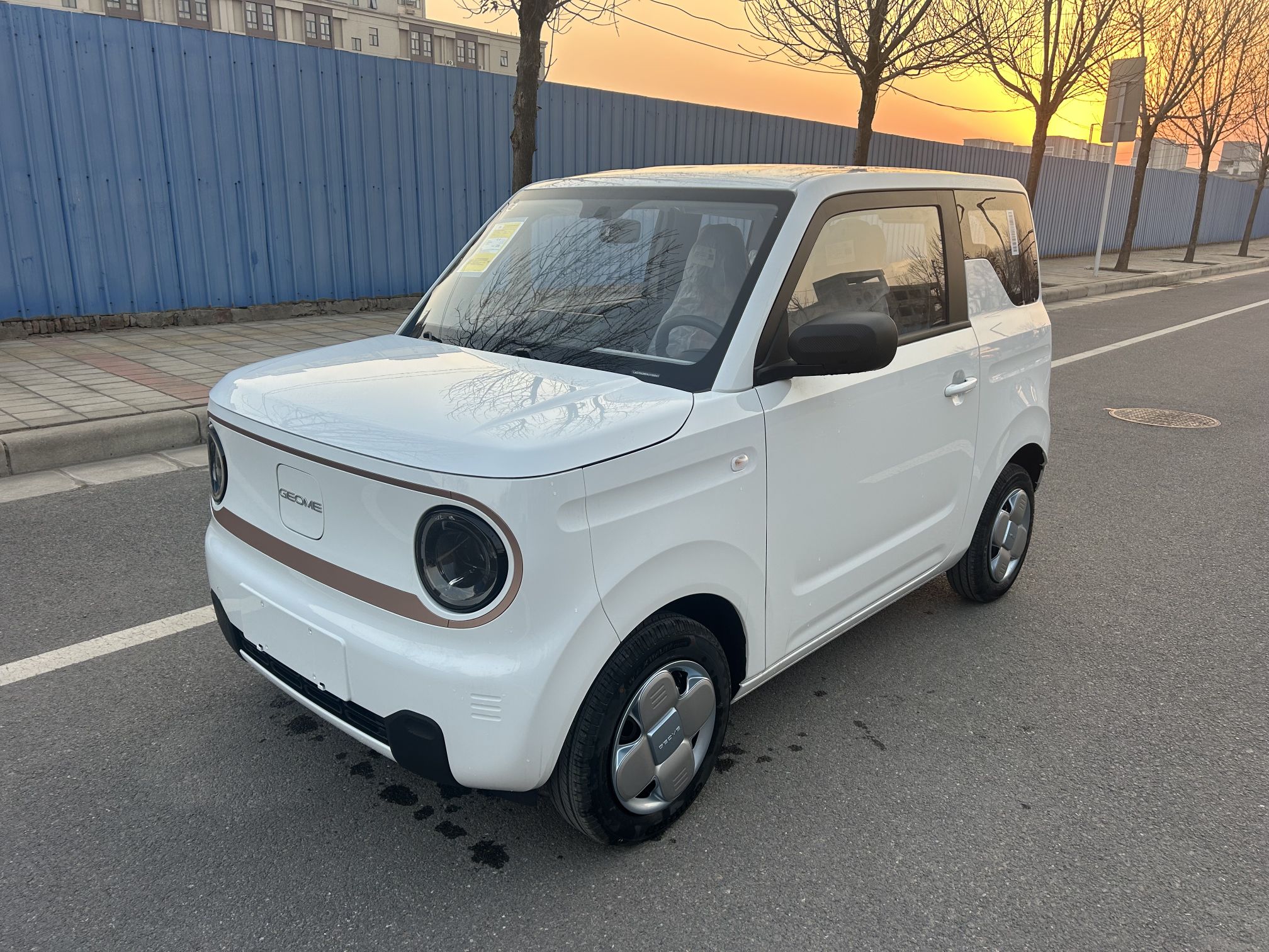 吉利汽车 2024款 熊猫mini 200km 耐力熊