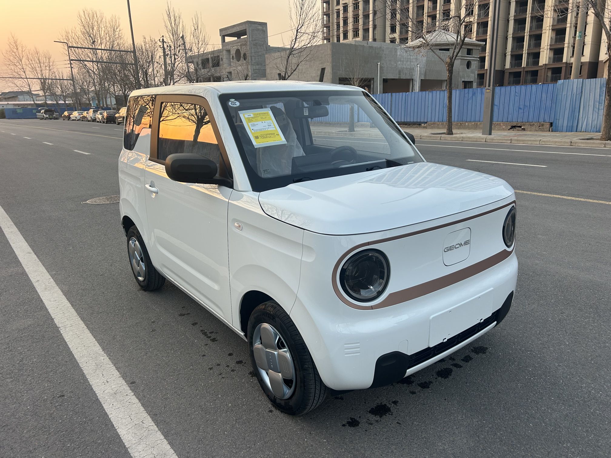 吉利汽车 2024款 熊猫mini 200km 耐力熊