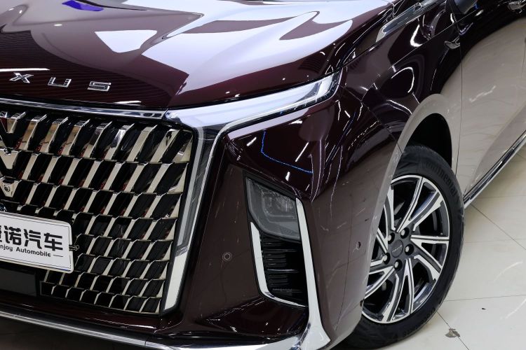 上汽大通MAXUS 大通G90 2022款 2.0T 星际七座版车身外观6010