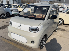 五菱汽车 宏光MINIEV 2024款 第三代 215km 青春版