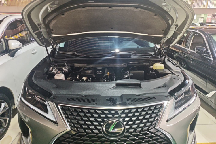 雷克萨斯RX 2020款 改款 300 两驱舒适版中控内饰7010