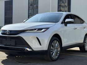 丰田 凌放HARRIER 2023款 2.0L CVT两驱尊享版