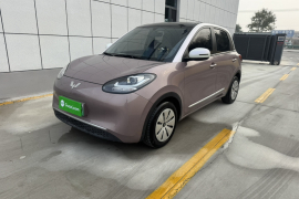 五菱汽车 五菱缤果 2023款 203km 轻享款