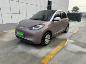 五菱汽车 五菱缤果 2023款 203km 轻享款