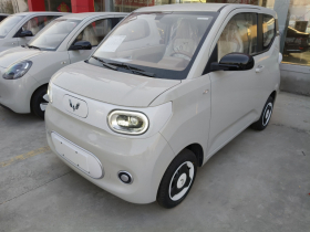 五菱汽车 宏光MINIEV 2024款 第三代 215km 青春版