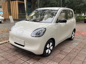 五菱汽车 宏光MINIEV 2025款 四门版 进阶款