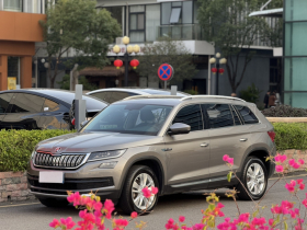 斯柯达 柯迪亚克 2017款 TSI330 7座两驱豪华版