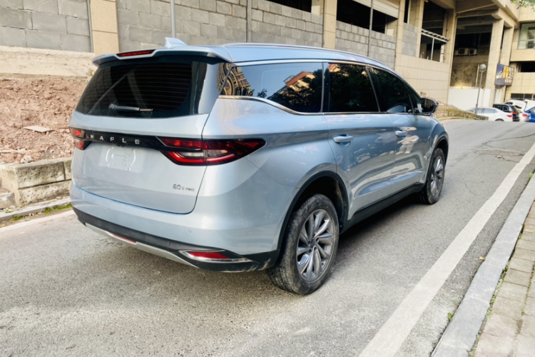 睿蓝汽车 枫叶80v PRO 2022款 舒享型 标准续航版车身外观6009