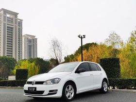 大众 高尔夫 2017款 230TSI 自动舒适百万辆纪念版
