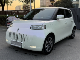 欧拉白猫 2022款 升级版 305km 豪华型 三元锂