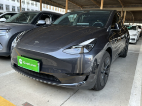 特斯拉 Model Y 2024款 后轮驱动版