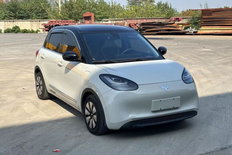 五菱汽车 五菱缤果 2023款 333km 灵犀互联款车身外观6002