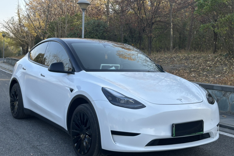 特斯拉 Model Y 2024款 后轮驱动版车身外观6004