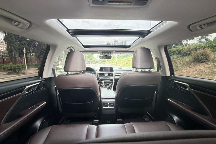 雷克萨斯RX 2020款 300 四驱典雅版 国VI局部细节14