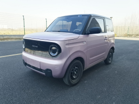 吉利汽车 2023款 熊猫mini 200km 耐力熊