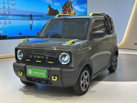 吉利银河 2024款 200km 熊猫骑士