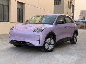 吉利银河 星愿 2026款 310km 青春版