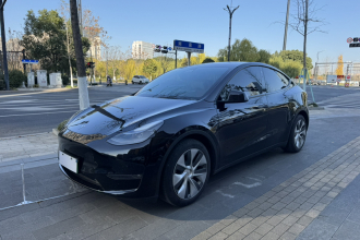 特斯拉 Model Y 2021款 标准续航后驱版
