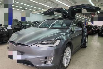 特斯拉 Model X 2019款 Performance 高性能版