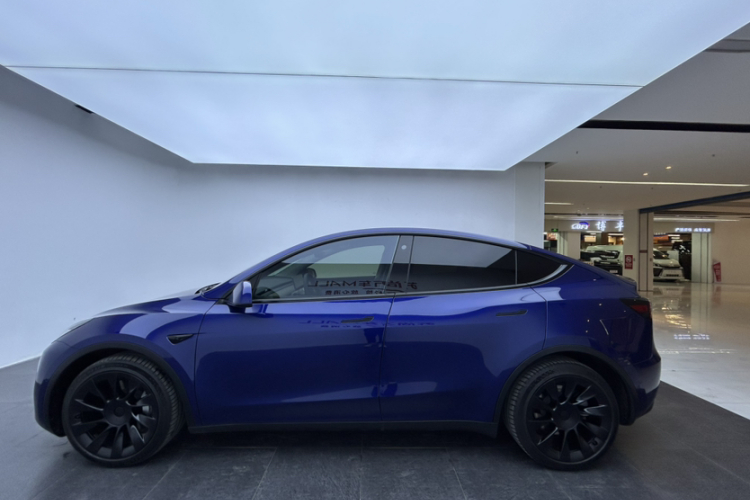 特斯拉 Model Y 2021款 长续航全轮驱动版车身外观6002