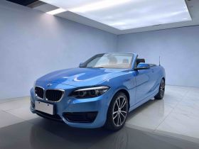 宝马2系(进口) 2018款 220i 敞篷轿跑车 运动设计套装