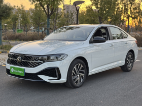 大众 朗逸 2024款 300TSI DSG星空领先版