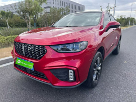 魏牌 VV5 2020款 1.5T 两驱智先锋