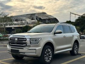 坦克500 2022款 3.0T 运动版 造境型 5座