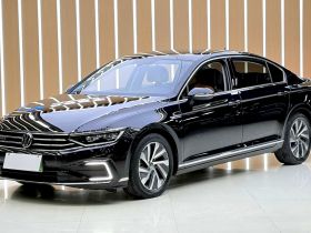 大众 迈腾GTE插电混动 2022款 GTE 豪华型