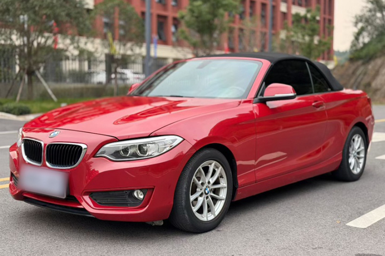 宝马2系(进口) 2015款 218i 敞篷轿跑车局部细节36