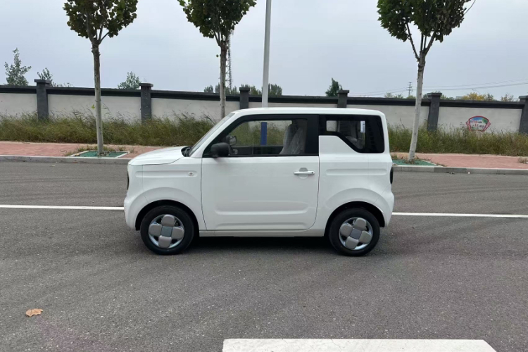 吉利银河 2024款 熊猫mini 200km 耐力熊车身外观6003