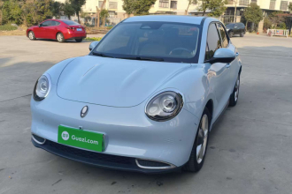 欧拉好猫 2023款 401km标准续航 尊荣型 磷酸铁锂