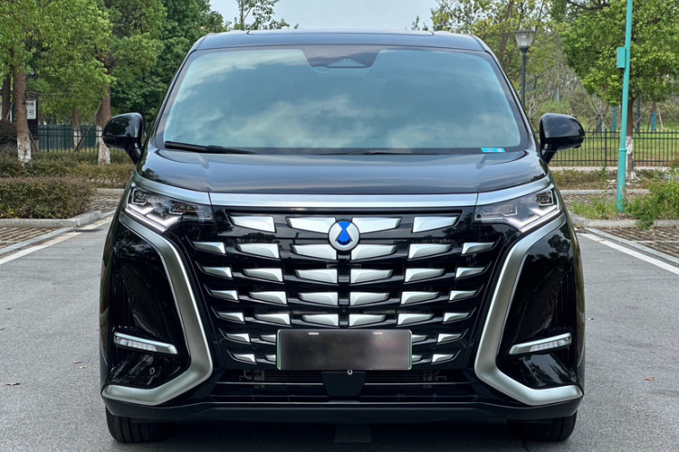 腾势D9 2024款 DM-i 980 四驱尊荣型车身外观6003