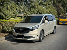 别克GL8 2020款 ES陆尊 653T 豪华型