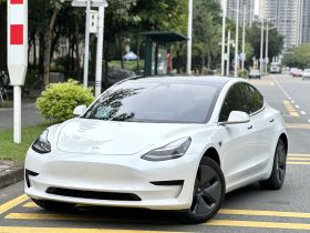 特斯拉 Model 3(进口) 2019款 标准续航后驱升级版(52度)