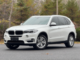 宝马X5(进口) 2014款 xDrive35i 领先型