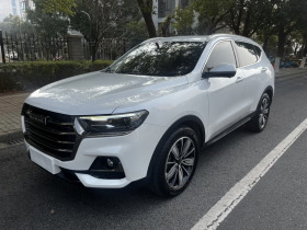 哈弗H6 2021款 国潮版 1.5T 自动冠军版