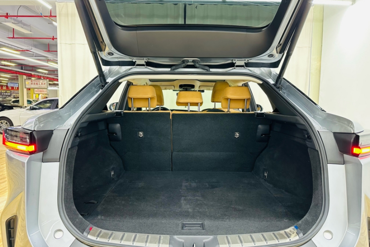 雷克萨斯RZ 2023款 450e 四驱纵享版局部细节23