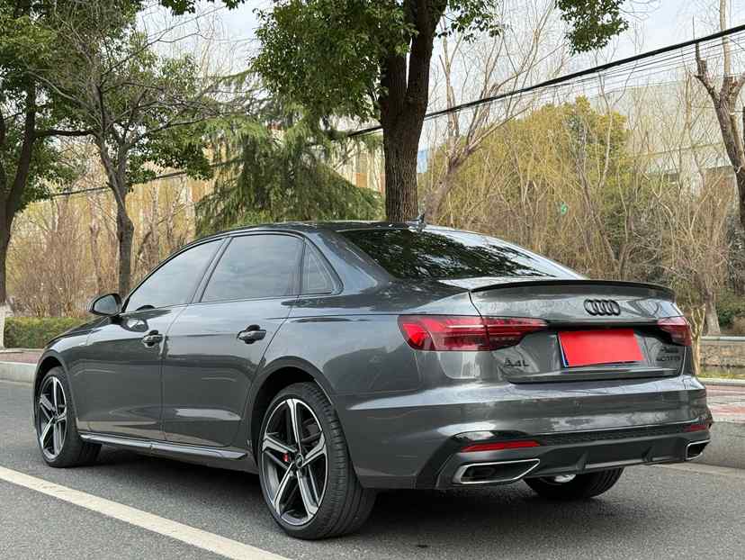 奥迪A4L 2024款 40 TFSI 豪华动感型(4)