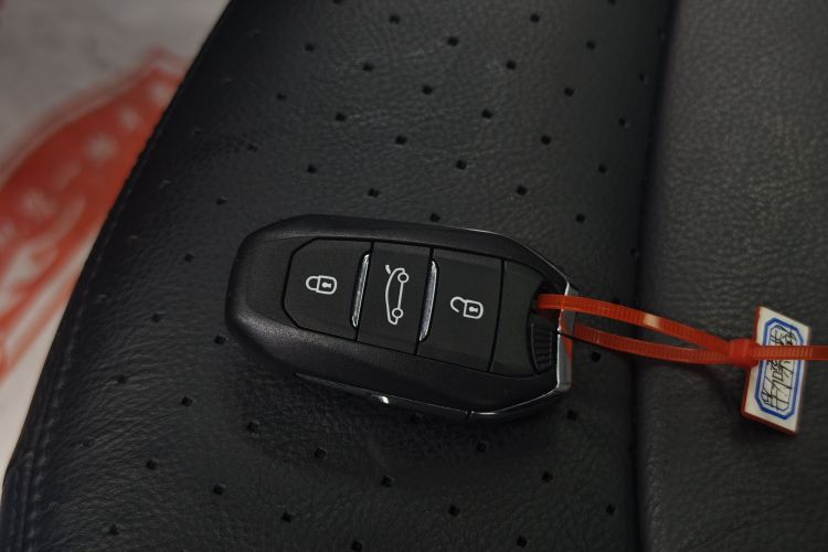 雪铁龙 C4 PICASSO 2015款 Grand 1.6T 豪华型 7座局部细节9001