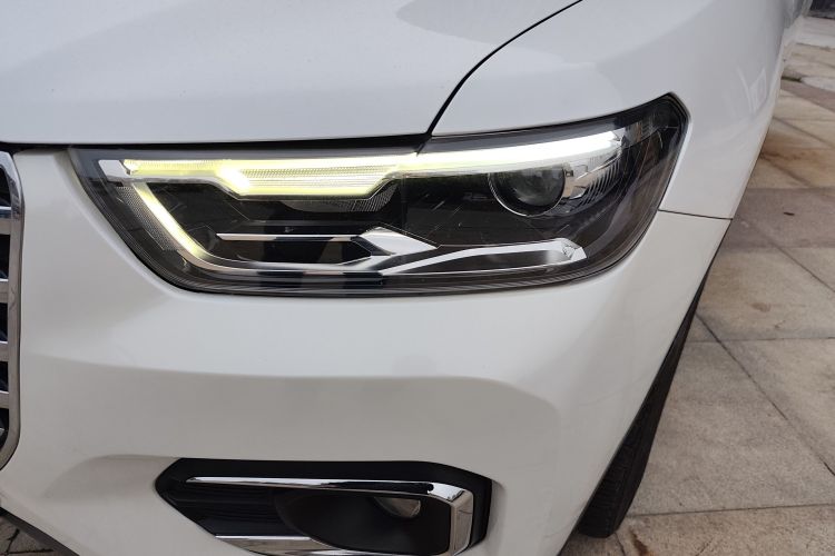 哈弗H6 2020款 1.5GDIT 自动铂金冠军版车身外观6003