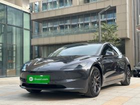 特斯拉 Model 3 2023款 后轮驱动版